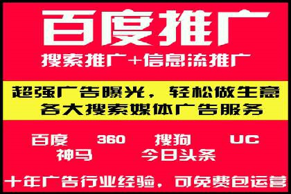 百度竞价赚钱的技巧与成功案例探讨